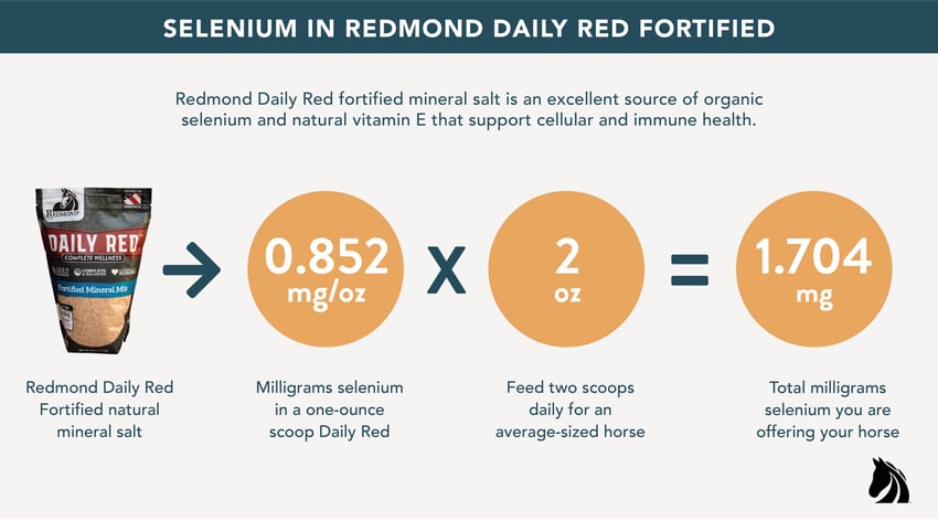 How much selenium for horses in Redmond Daily Red mineral salt supplement.