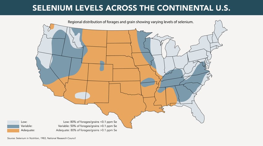 U.S. map showing regional soil selenium levels.
