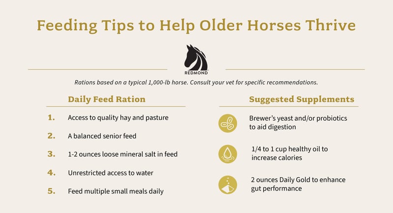 Senior horse - what to feed older horses