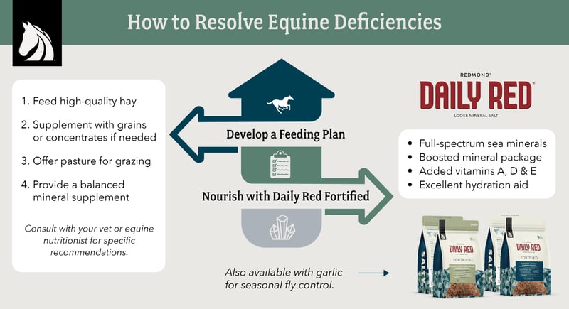 Resolve equine deficiencies with Daily Red Fortified--a vitamin and mineral supplement for horses.