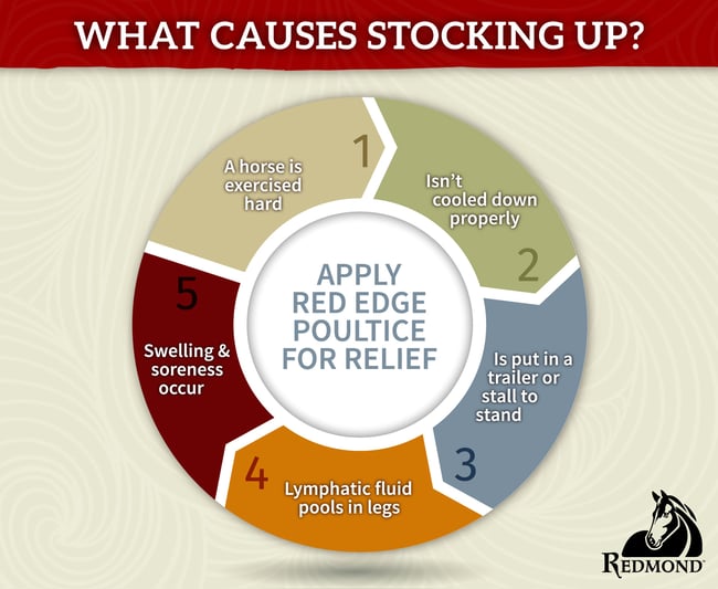 WHat Causes Stocking Up-1
