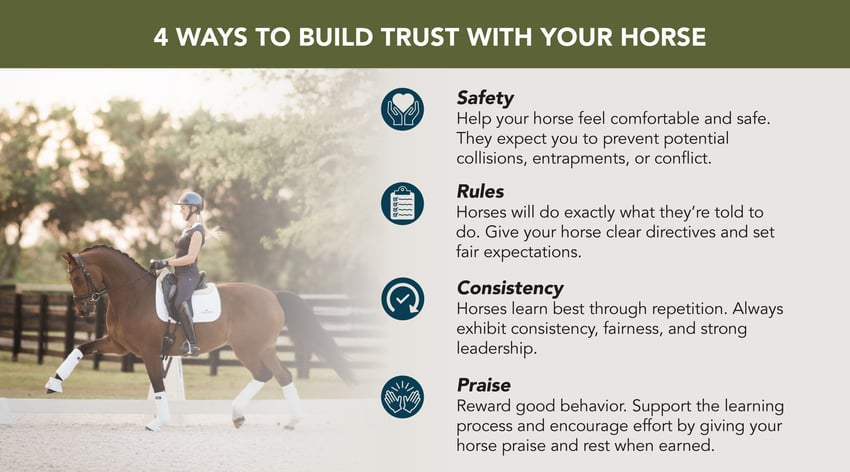 Four ways to build trust with your horse.