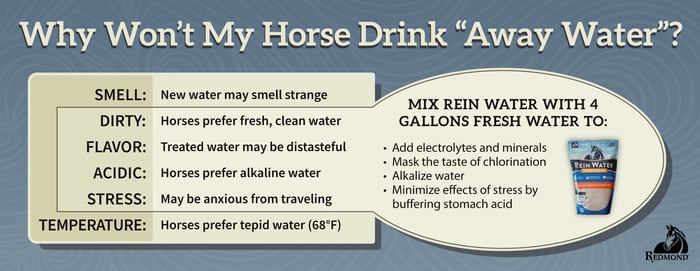 Why Wont My Horse Drink Away Water