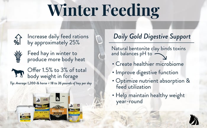 Tips for feeding horses in the winter
