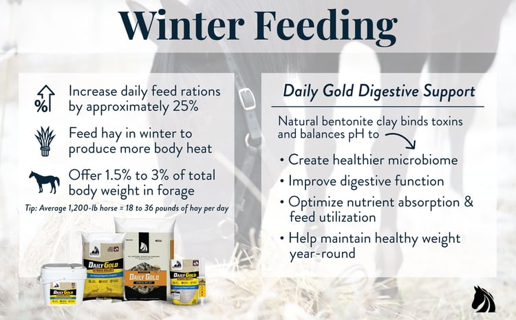 Tips for feeding horses in the winter