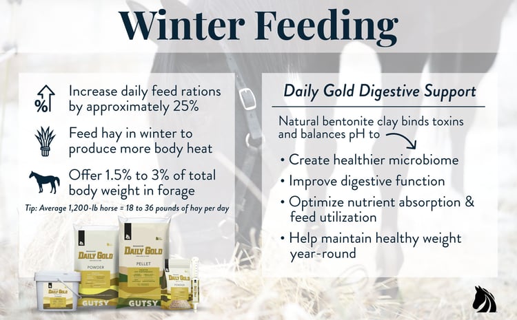 Tips for feeding horses in the winter