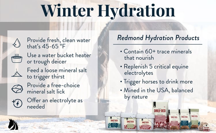 Winter horse hydration tips