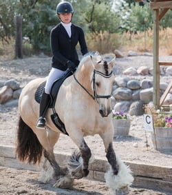 Amber Russell competing on a Gypsy Vanner.