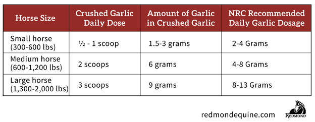 Chart for feeding garlic to horses using Redmond Rock Crushed with Garlic.