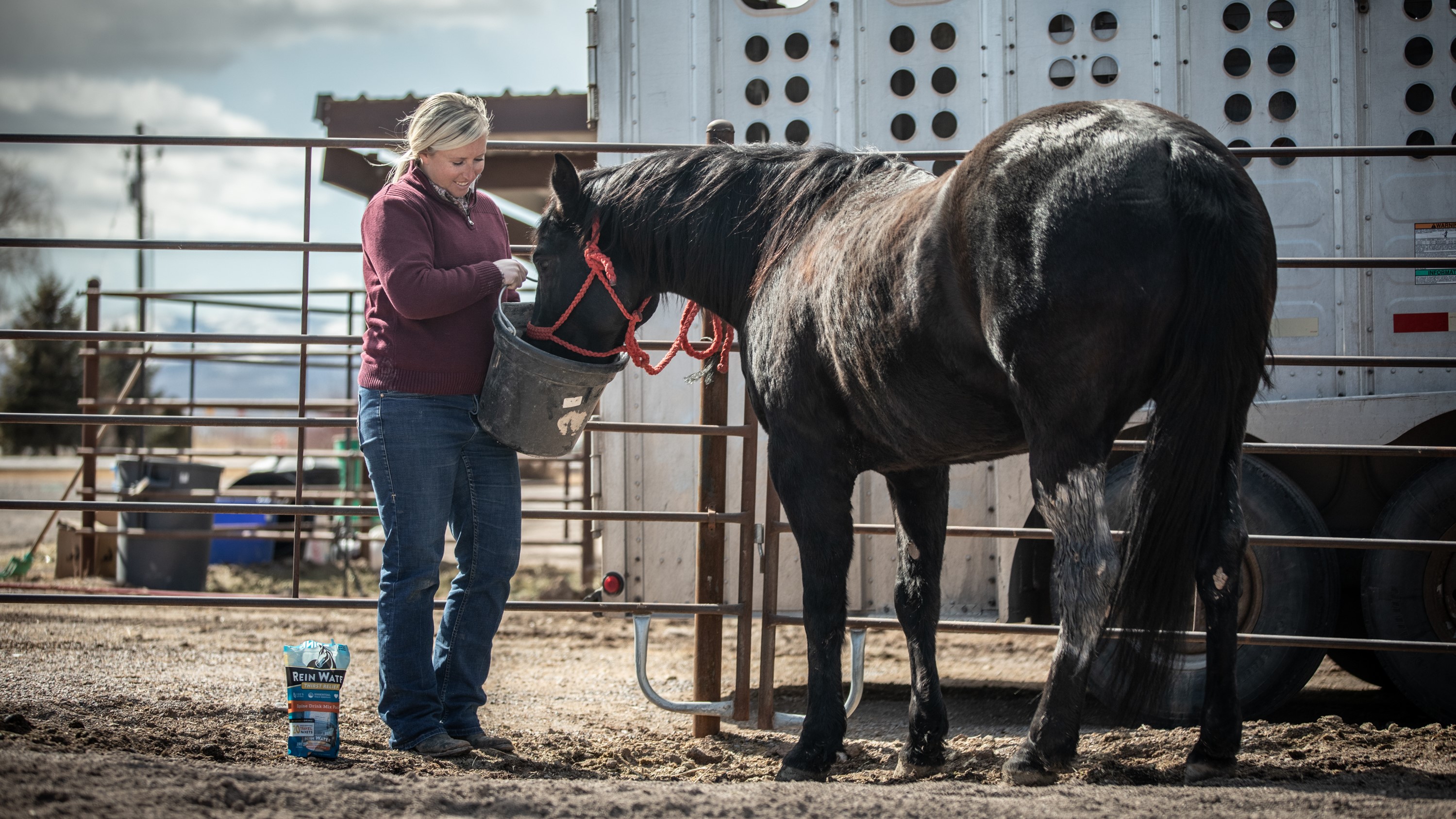 How Alyssa Helped Two New Horses Drink More Water | A Redmond Story