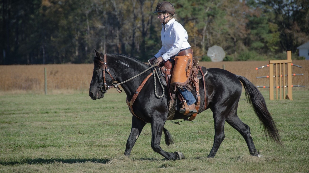 Why This Vet Treats Equine Ulcers With Daily Gold | A Redmond Story