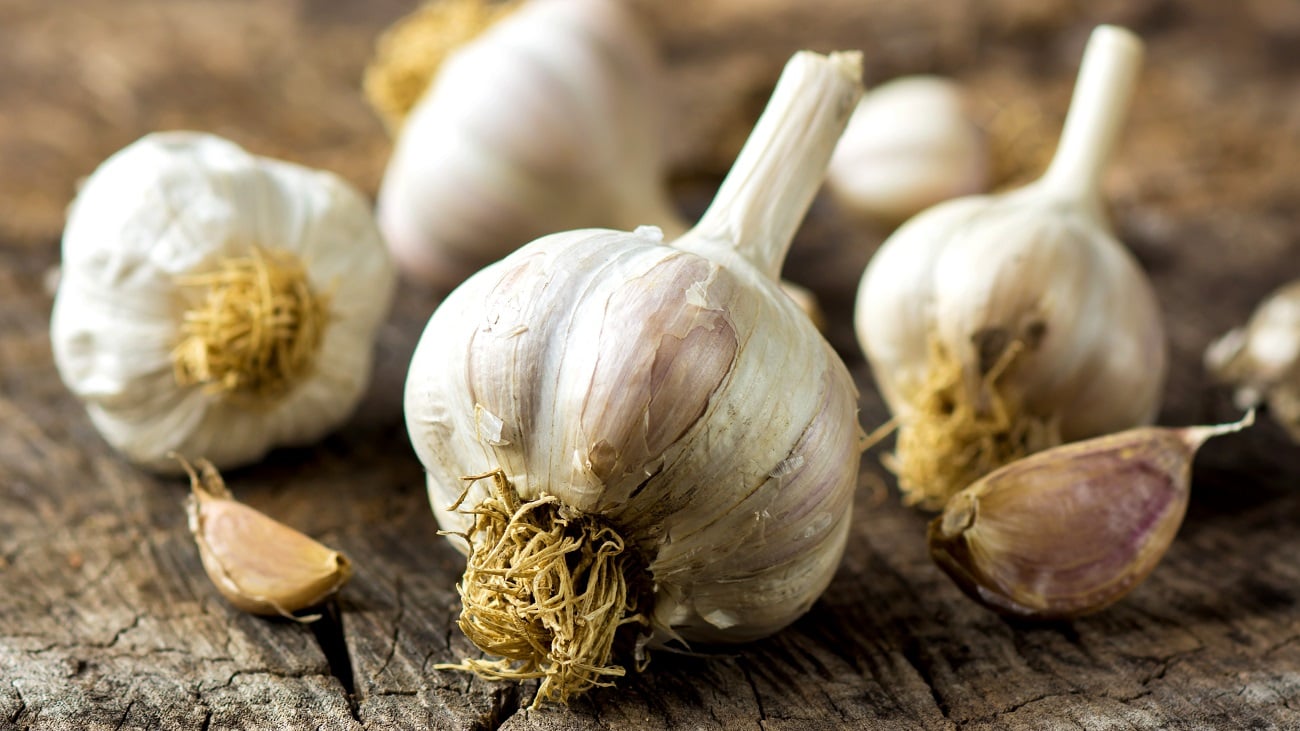 Do You Know How Much Garlic To Feed Horses?