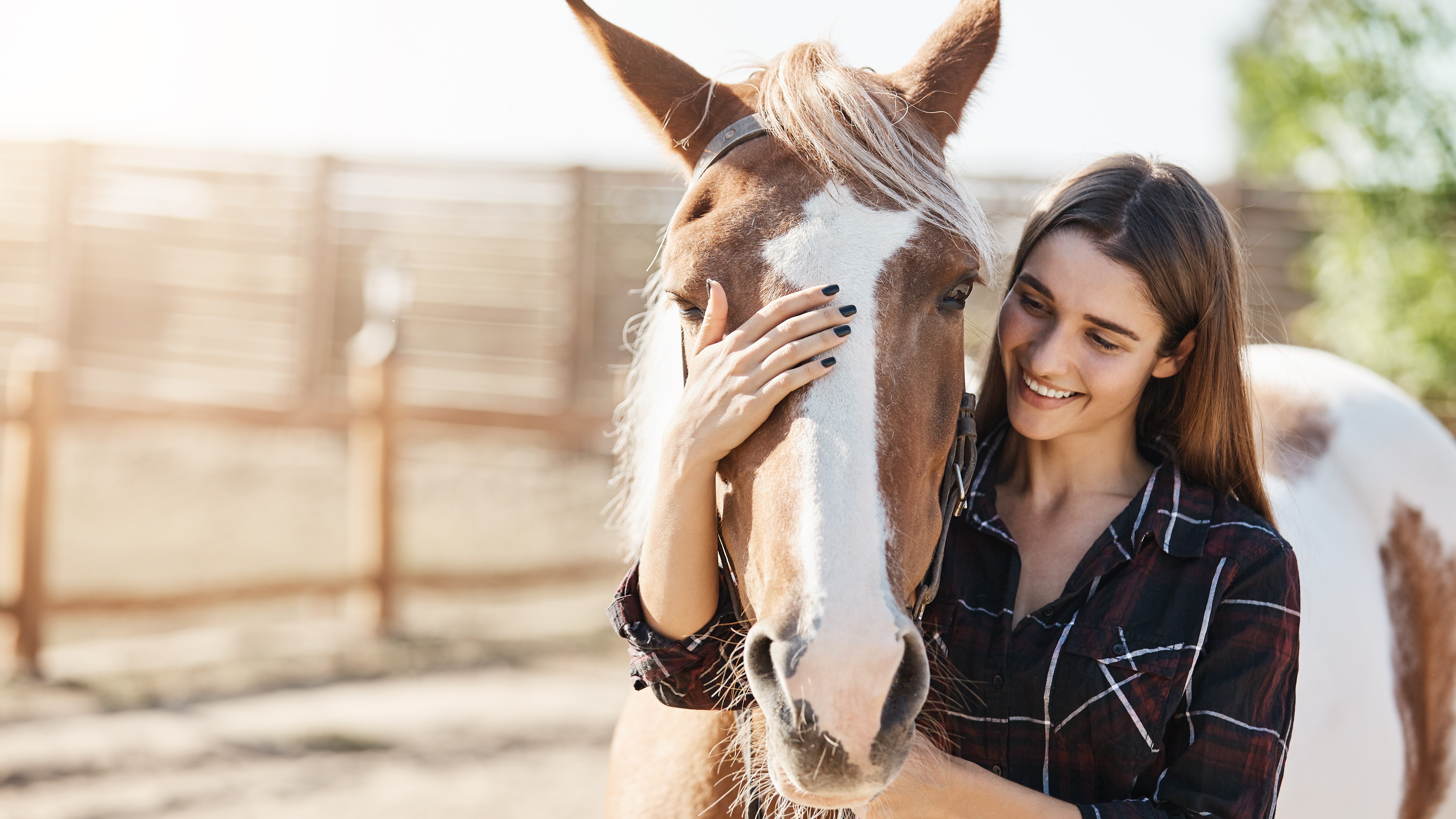 Is Bentonite Clay Safe and Beneficial for My Horse?
