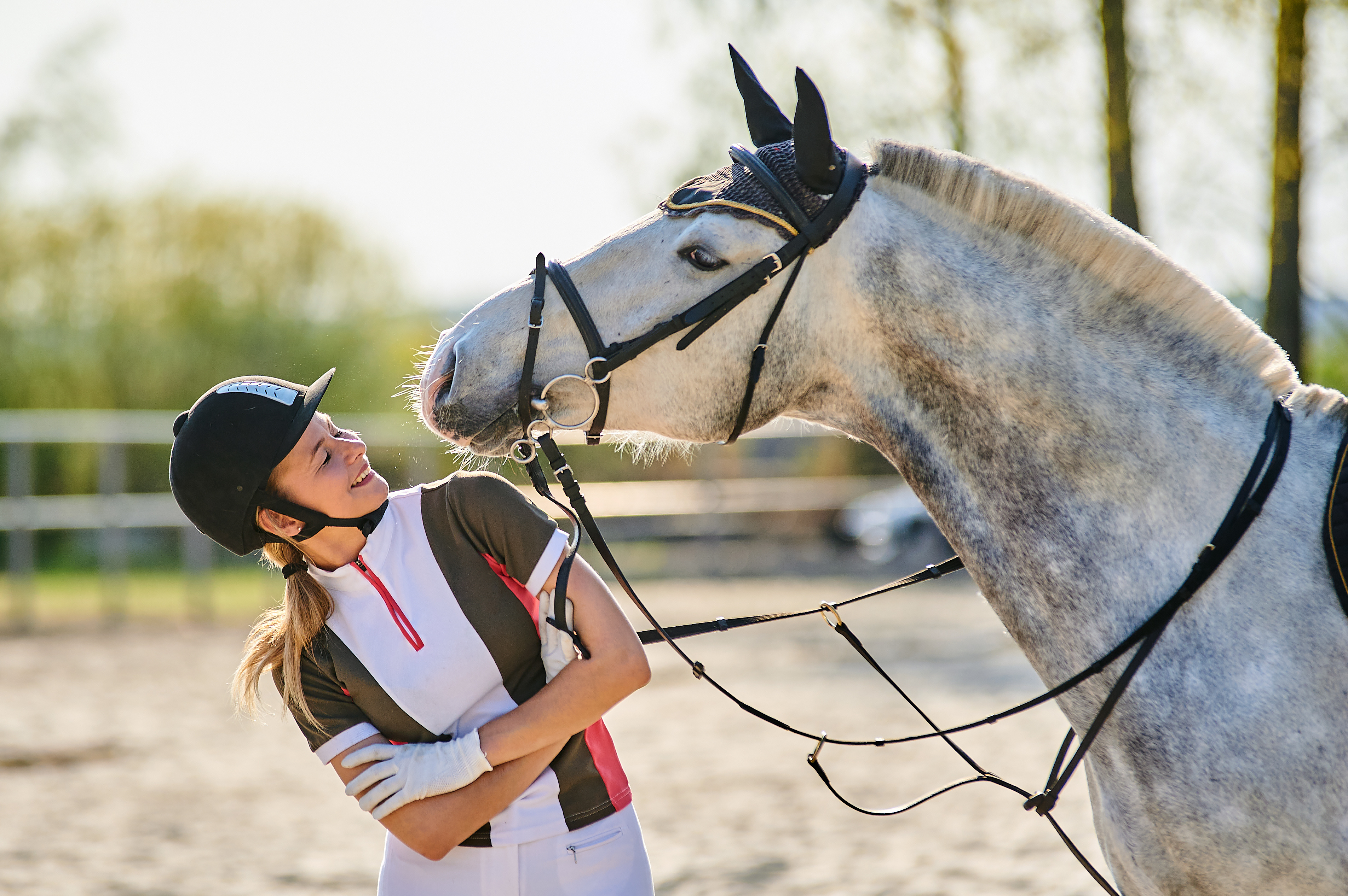 Horse and Rider:  Does Your Horse  Trust You?