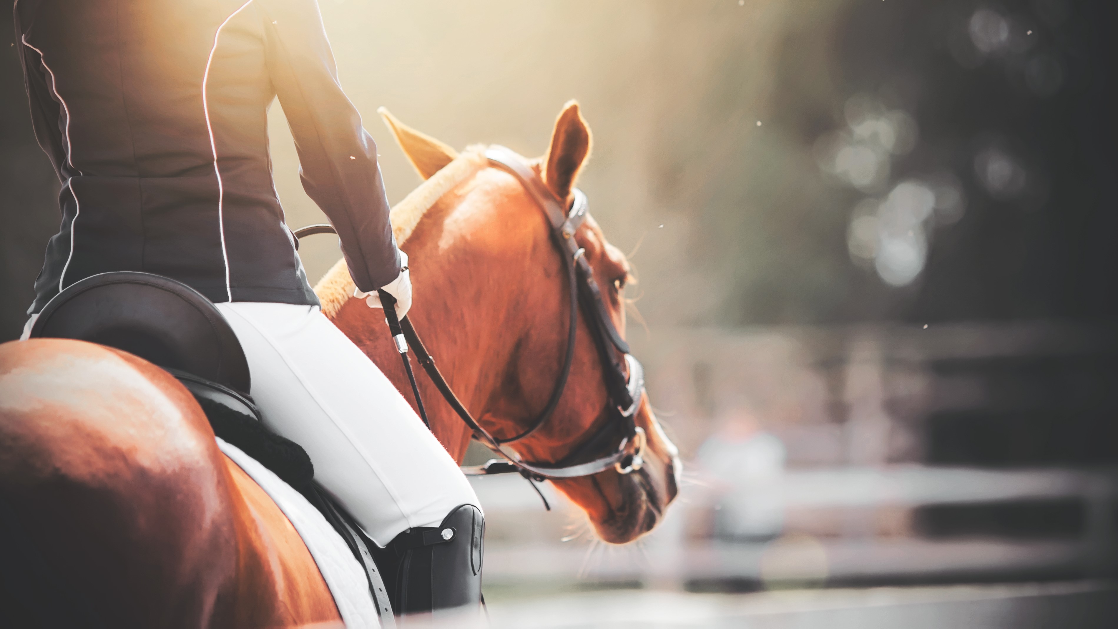 Learn the habits and attitude of what makes a good horse rider.