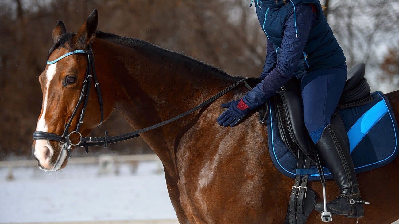 Equestrian in winter horse riding apparel riding in snow.