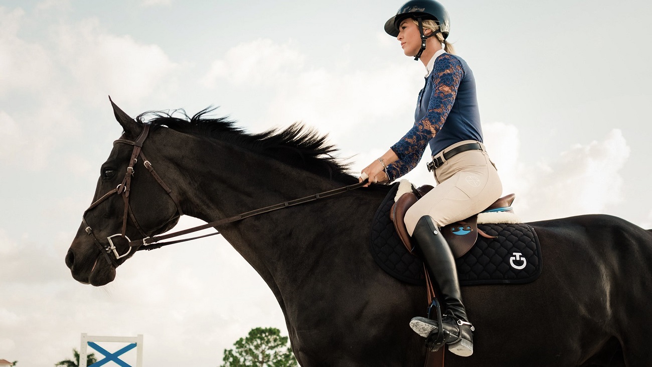 How to Get a Horse to Trust You | Tips from Julie Goodnight