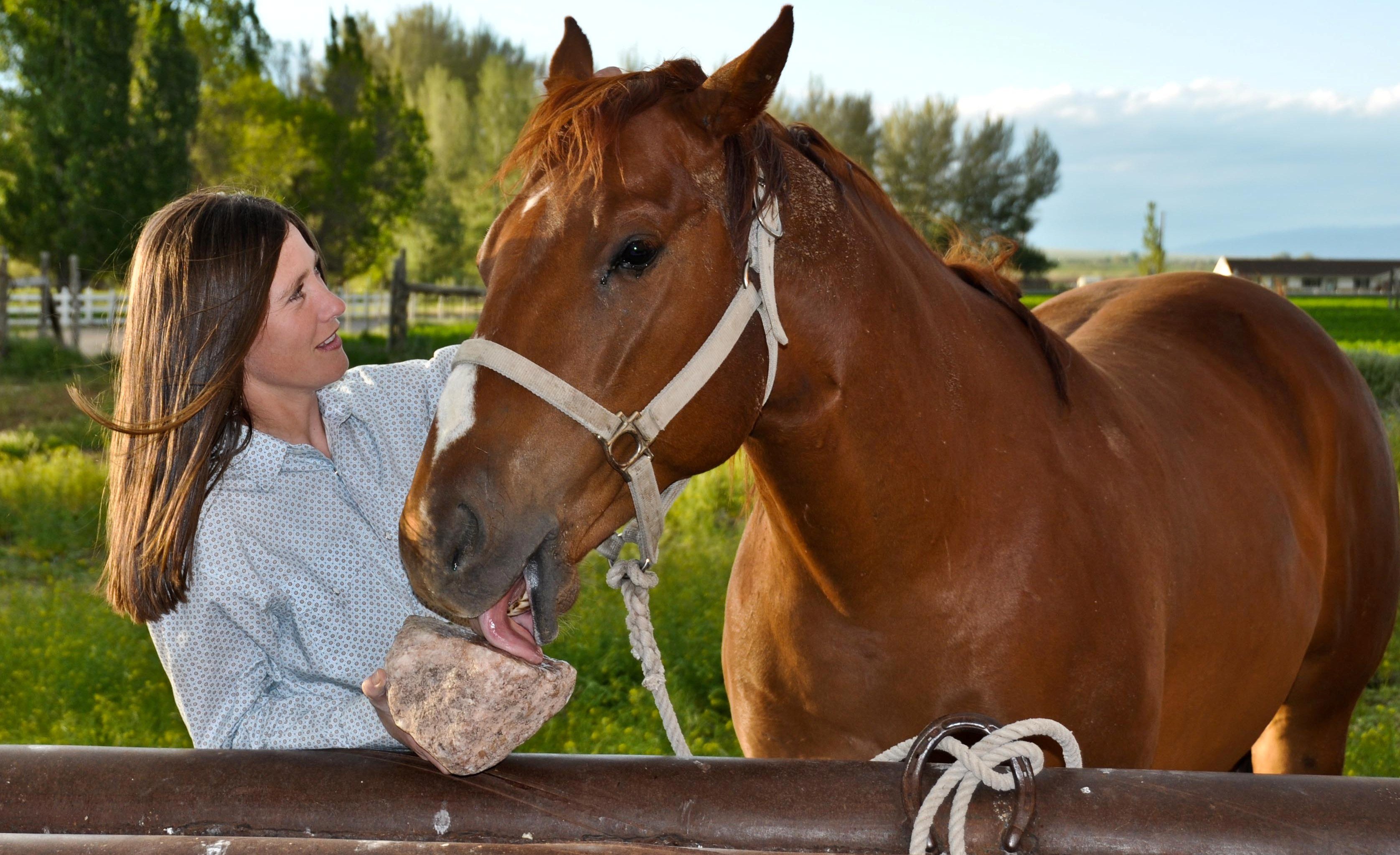 A rich salt and bentonite clay deposit in Utah, USA is the source for our quality Redmond horse supplements.
