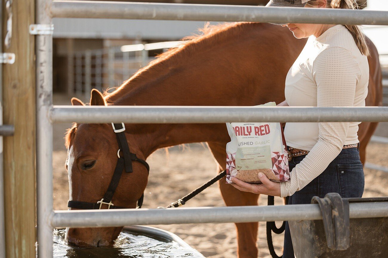Redmond Daily Red is the best loose salt for horses, with fortified minerals and vitamins that improve hydration and health.