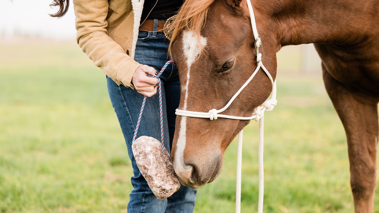 A natural mineral lick with a full spectrum of salt and electrolytes can help keep your horse from becoming dehydrated.