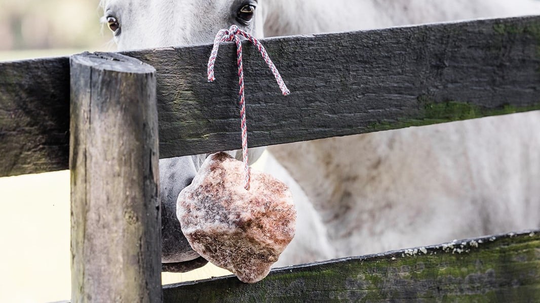 Redmond Rock salt for horses is packed with essential trace minerals.