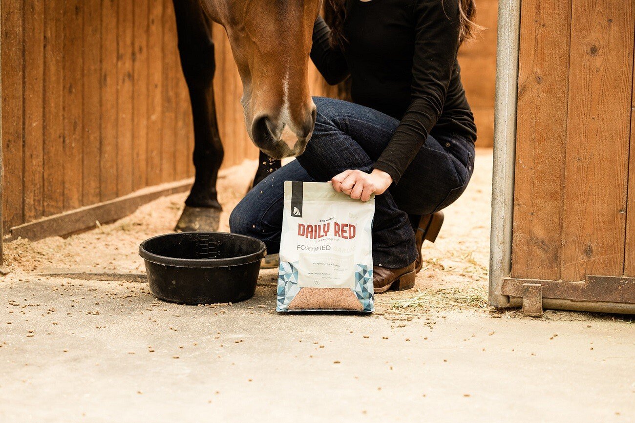 Fortified Horse Minerals Stopped Nikki's Licking | A Redmond Story