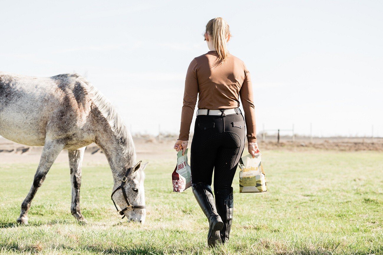 Loose Minerals Helped Shanon's Rescue Horse | A Redmond Story