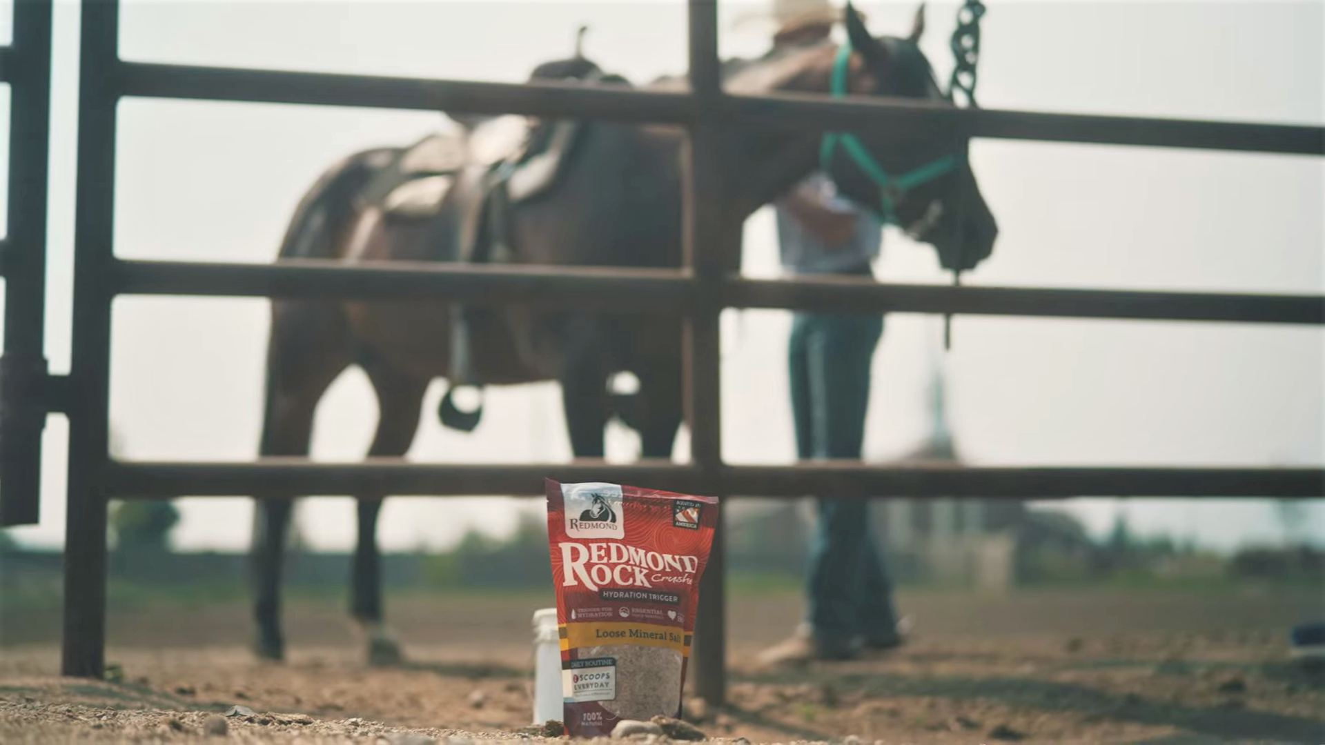 Best Loose Salt for Picky Horses