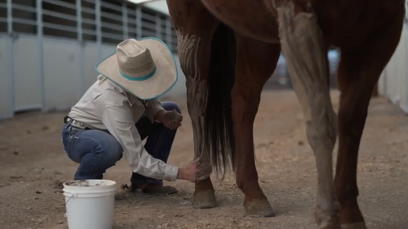 An Equine Poultice Gave Jennifer's Horses an Edge | A Redmond Story