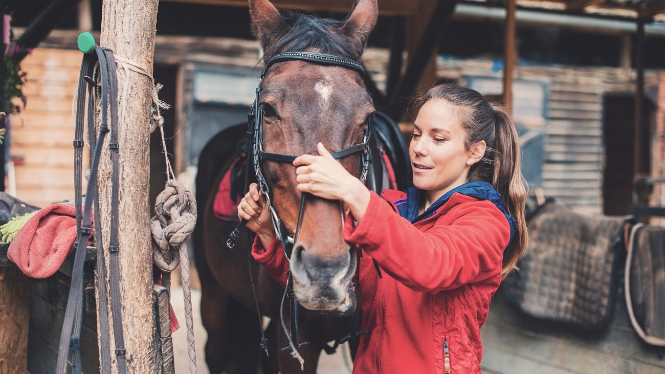 We asked horse care professionals how to care for horses in springtime. Their answers ranged from cleaning tack to scheduling spring shots for horses.