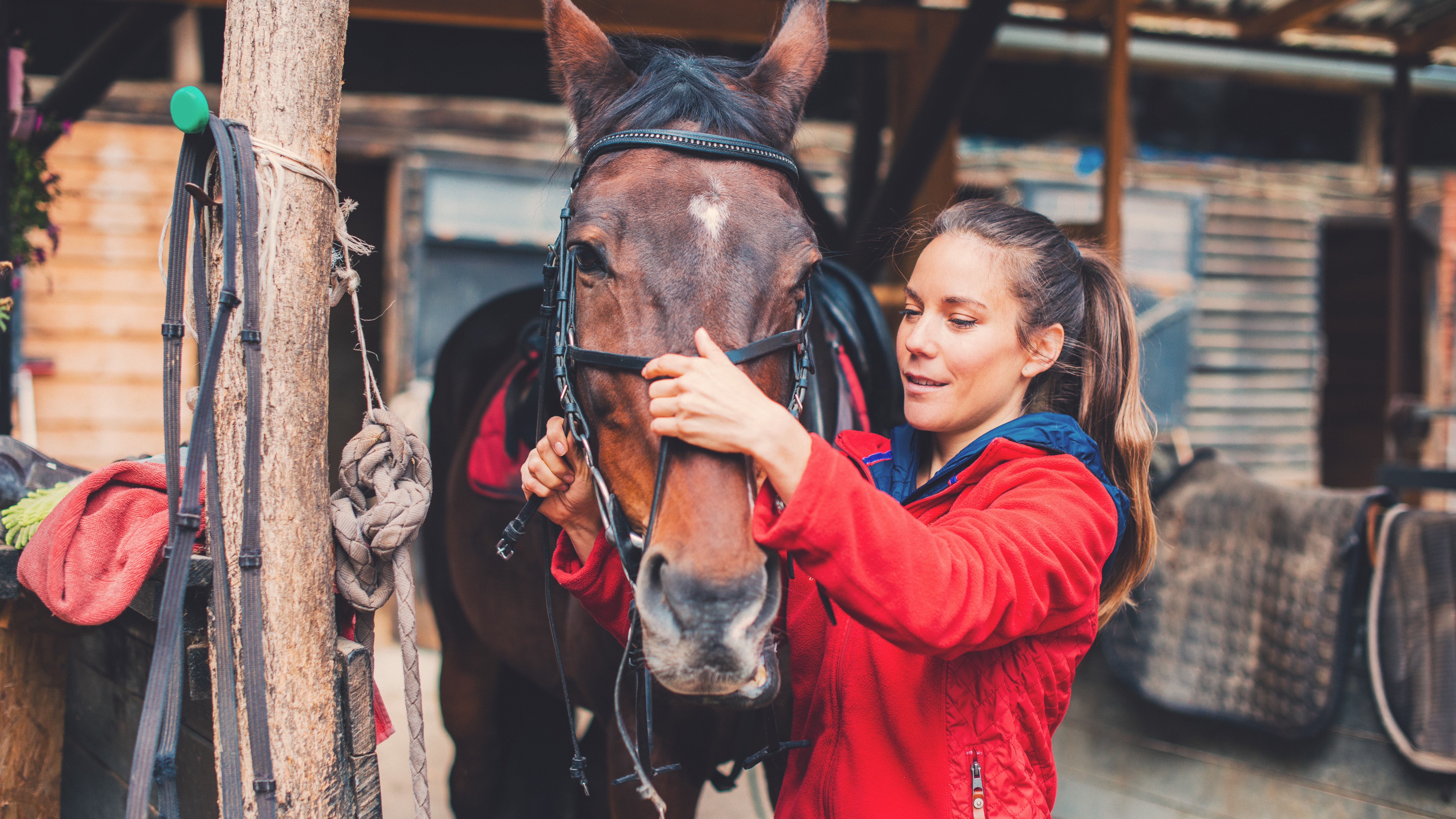 We asked a number of horse care professionals what horses need to stay healthy as we move from winter into spring.