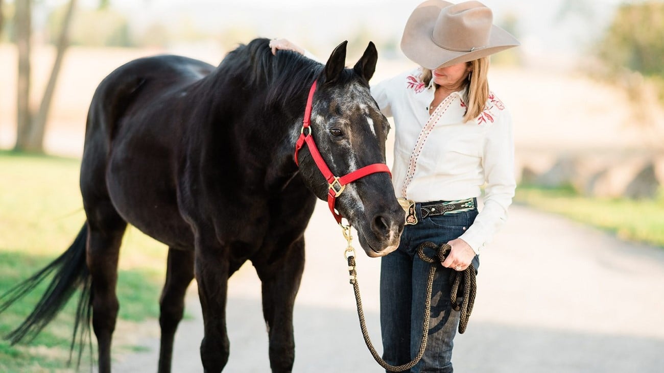 How to Stop Weight Loss & Diarrhea in Senior Horses